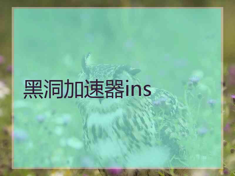 黑洞加速器ins