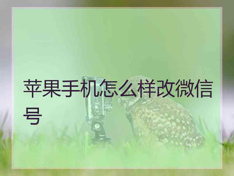 苹果手机怎么样改微信号