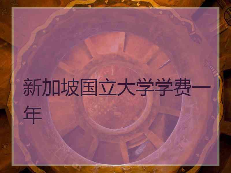 新加坡国立大学学费一年