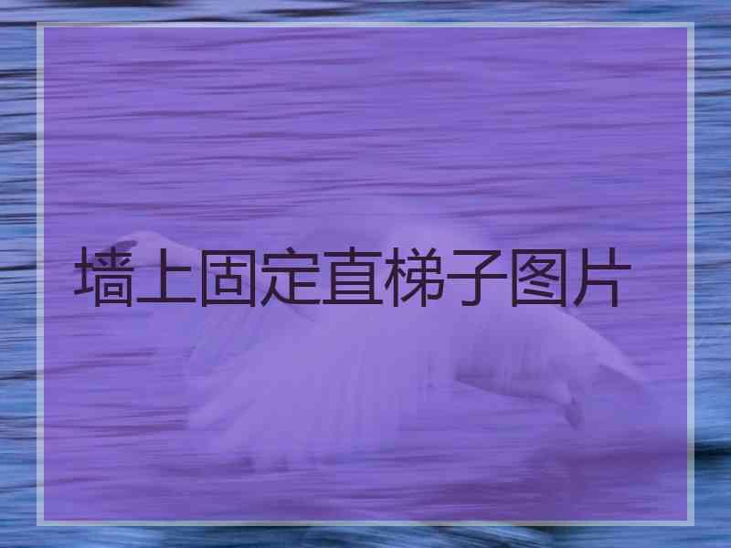 墙上固定直梯子图片