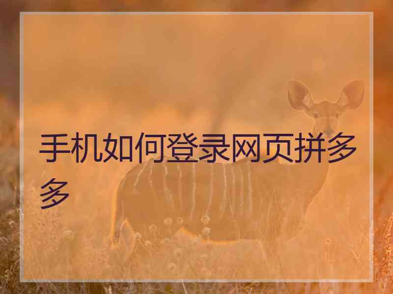 手机如何登录网页拼多多