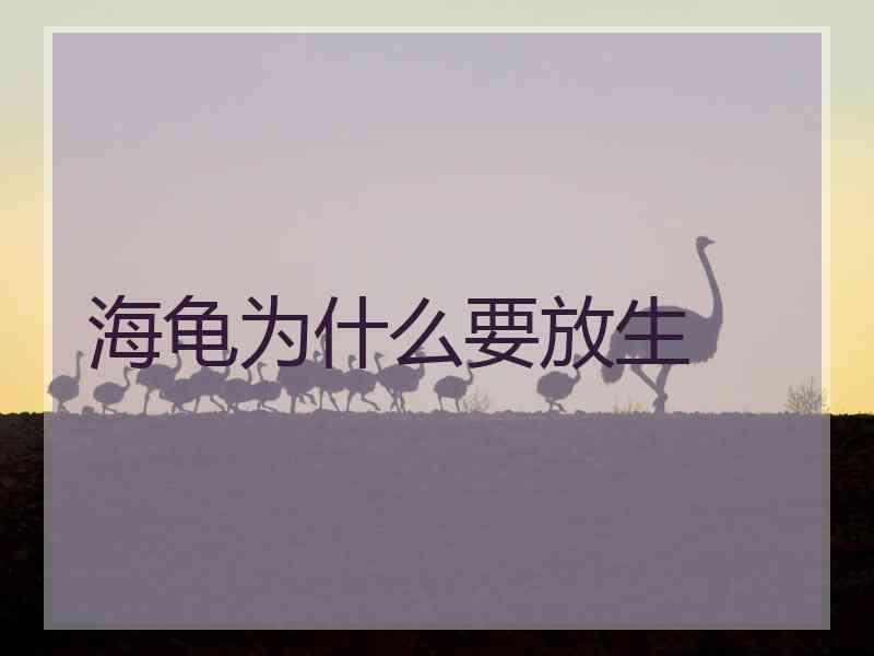 海龟为什么要放生