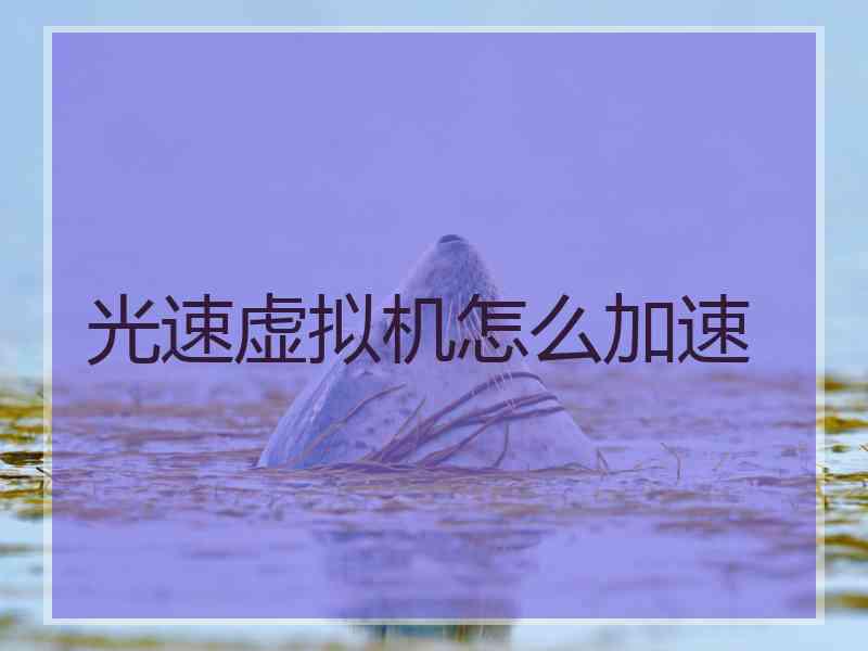 光速虚拟机怎么加速