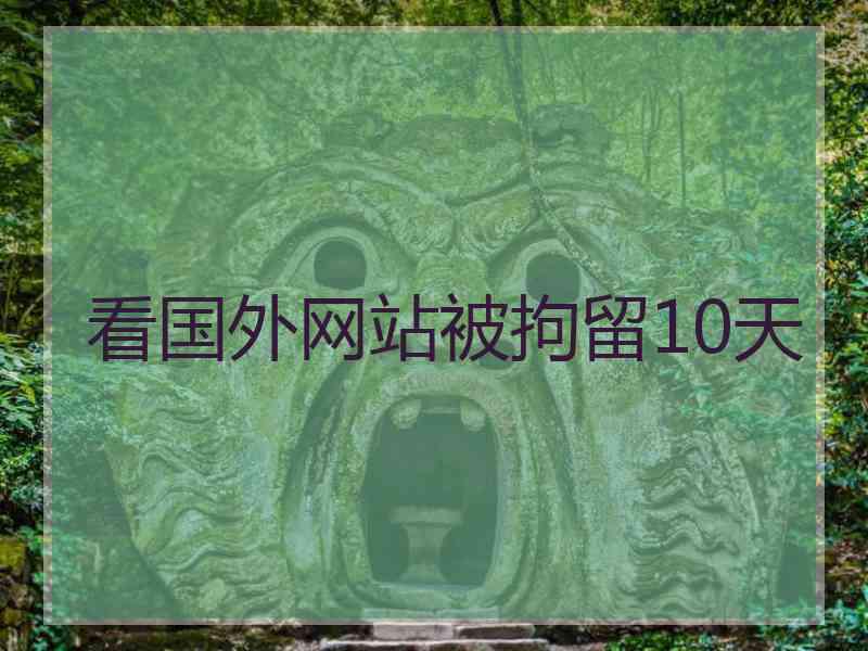 看国外网站被拘留10天
