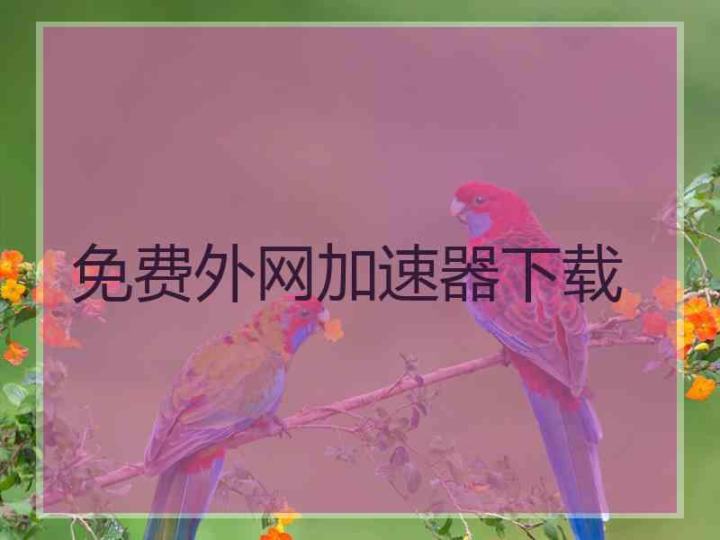 免费外网加速器下载