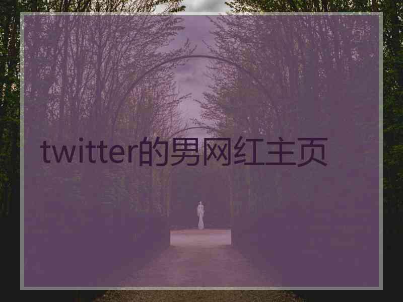 twitter的男网红主页