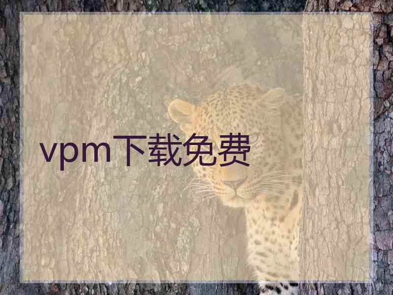 vpm下载免费