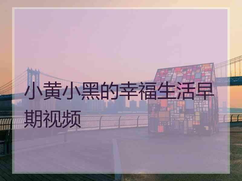小黄小黑的幸福生活早期视频