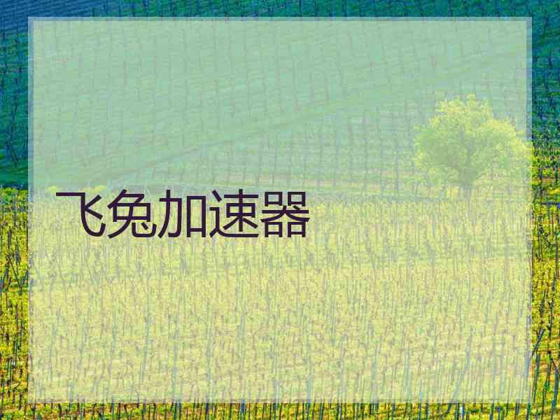 飞兔加速器