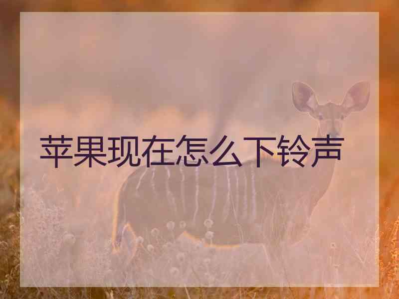 苹果现在怎么下铃声