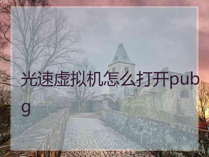 光速虚拟机怎么打开pubg