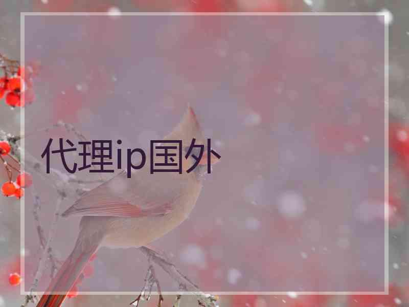 代理ip国外