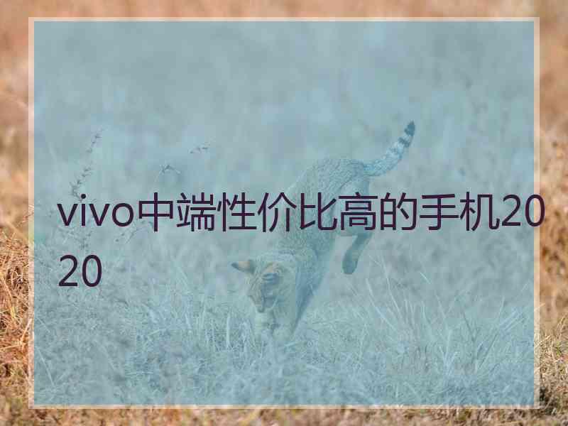 vivo中端性价比高的手机2020