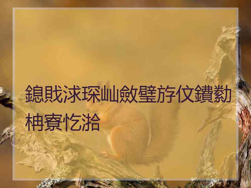 鎴戝浗琛屾斂璧斿伩鐨勬柟寮忔湁