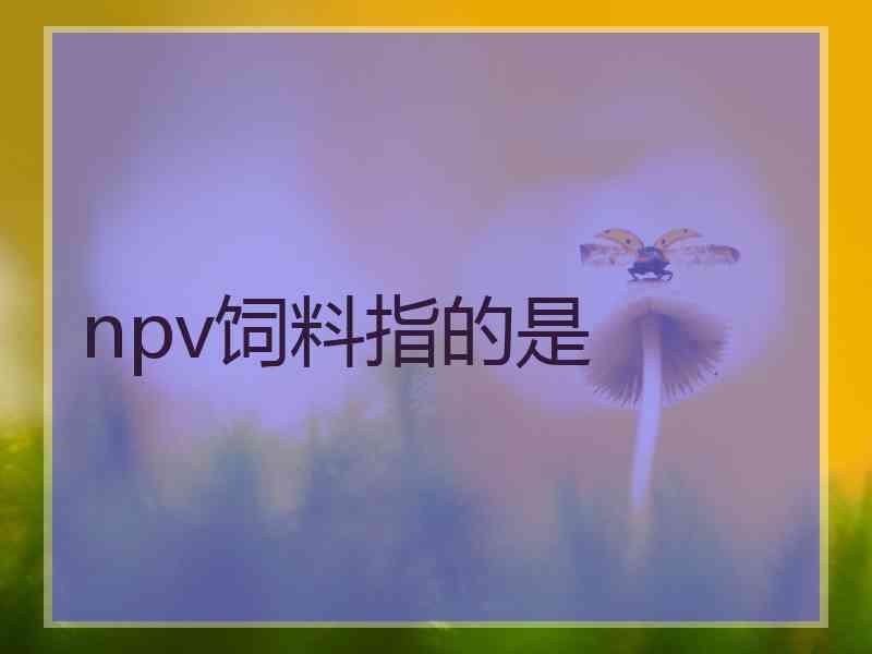 npv饲料指的是