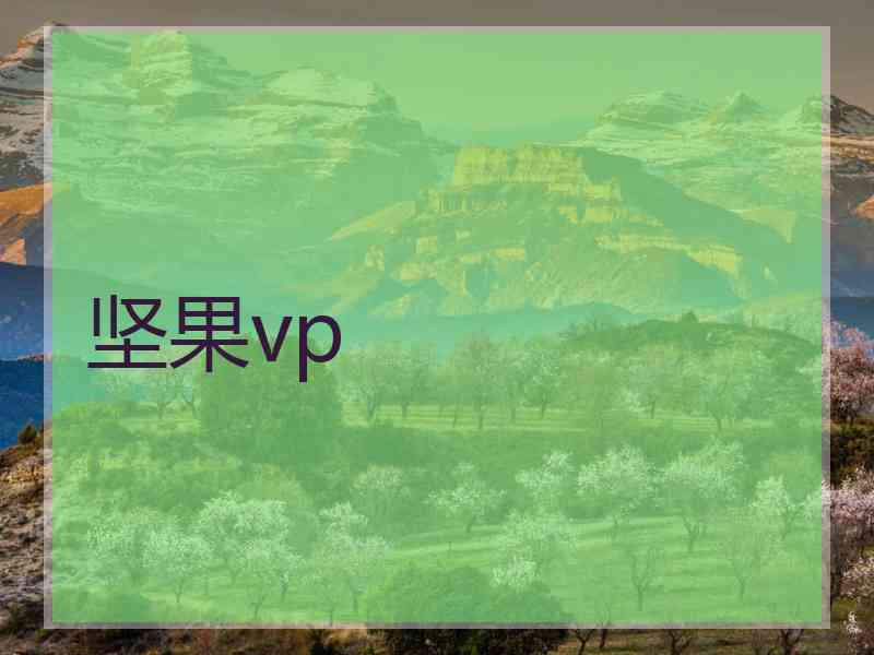坚果vp