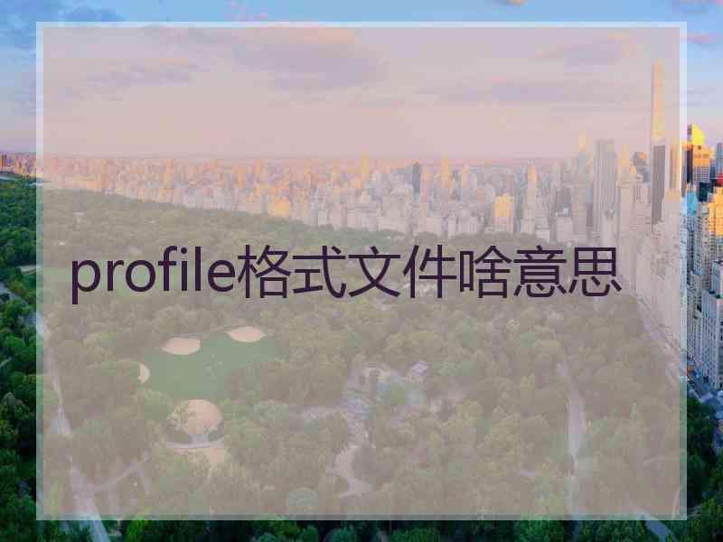 profile格式文件啥意思