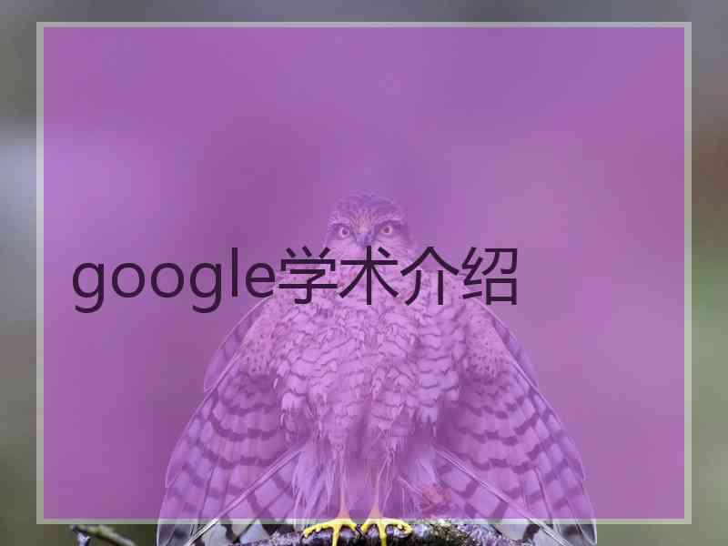 google学术介绍
