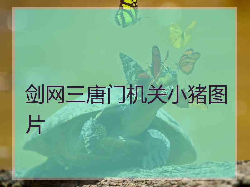 剑网三唐门机关小猪图片
