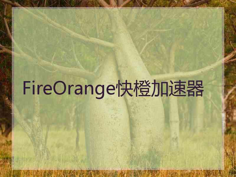 FireOrange快橙加速器
