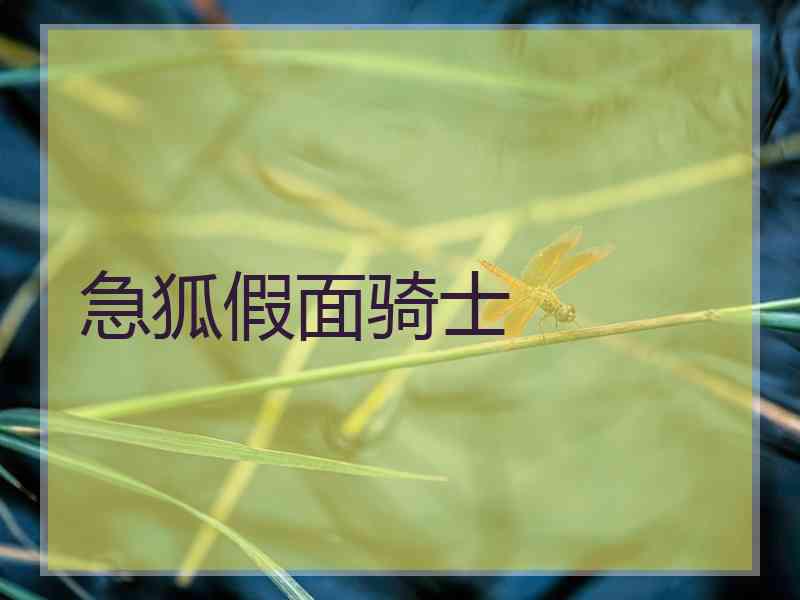 急狐假面骑士