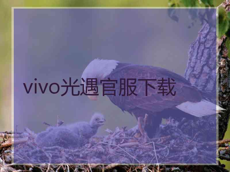 vivo光遇官服下载