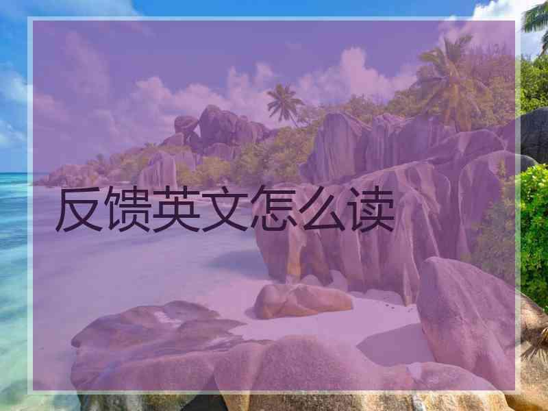 反馈英文怎么读