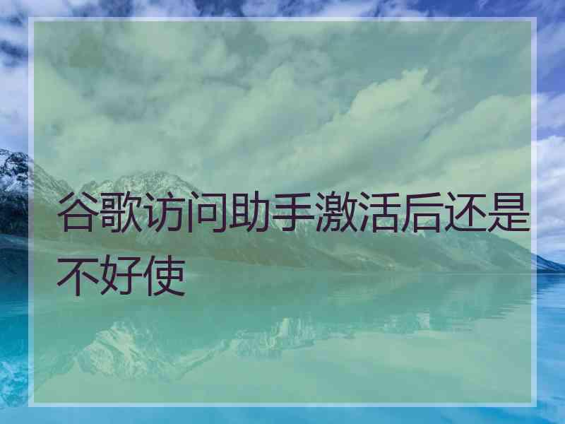 谷歌访问助手激活后还是不好使