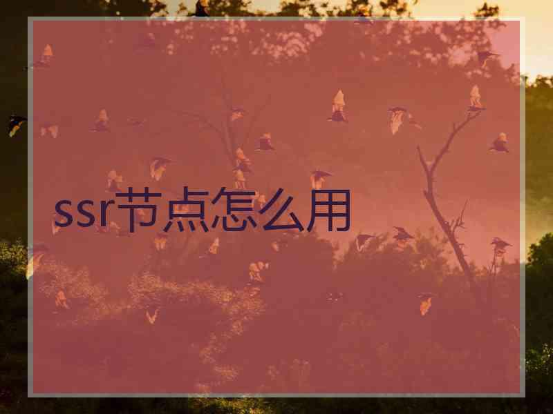 ssr节点怎么用