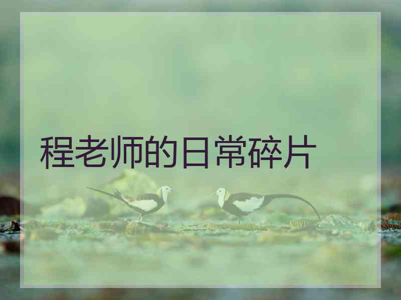 程老师的日常碎片