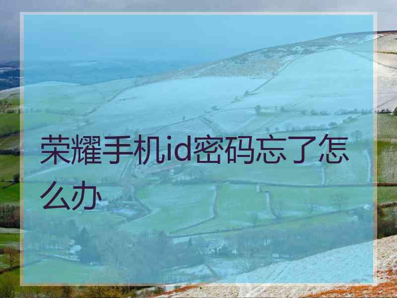 荣耀手机id密码忘了怎么办