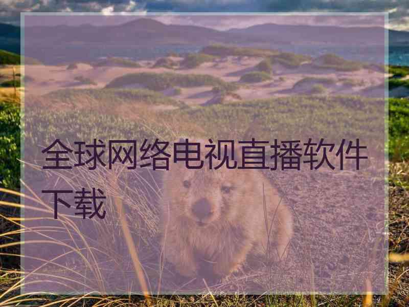 全球网络电视直播软件下载