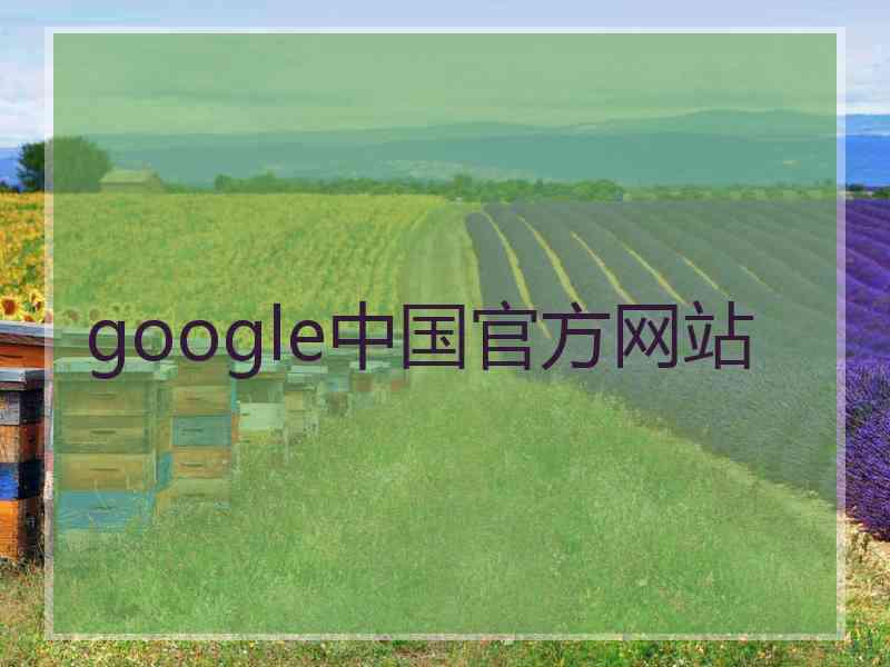 google中国官方网站