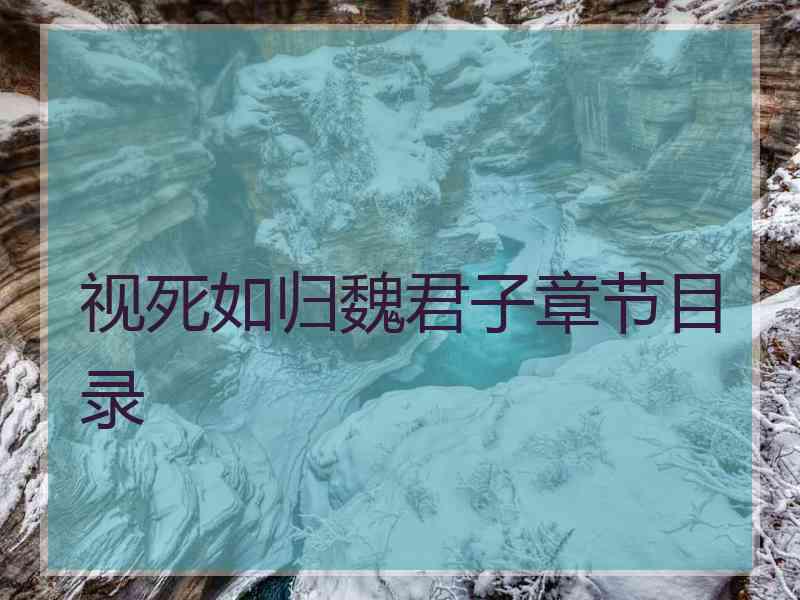 视死如归魏君子章节目录
