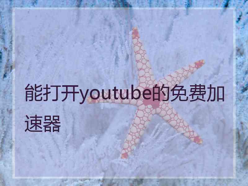能打开youtube的免费加速器