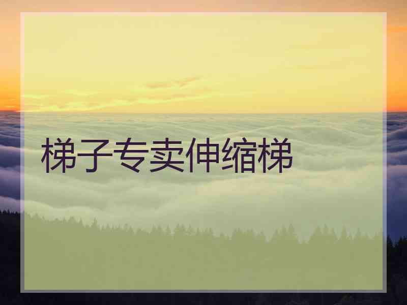 梯子专卖伸缩梯