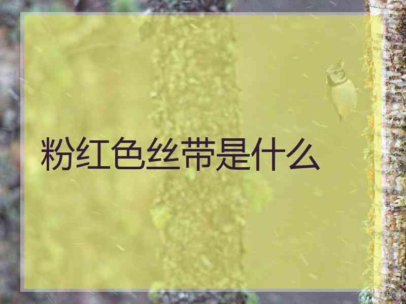 粉红色丝带是什么