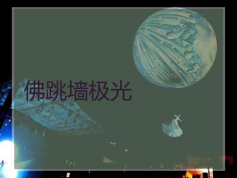 佛跳墙极光
