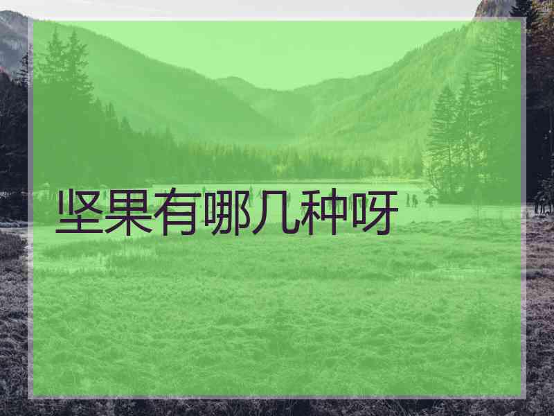 坚果有哪几种呀