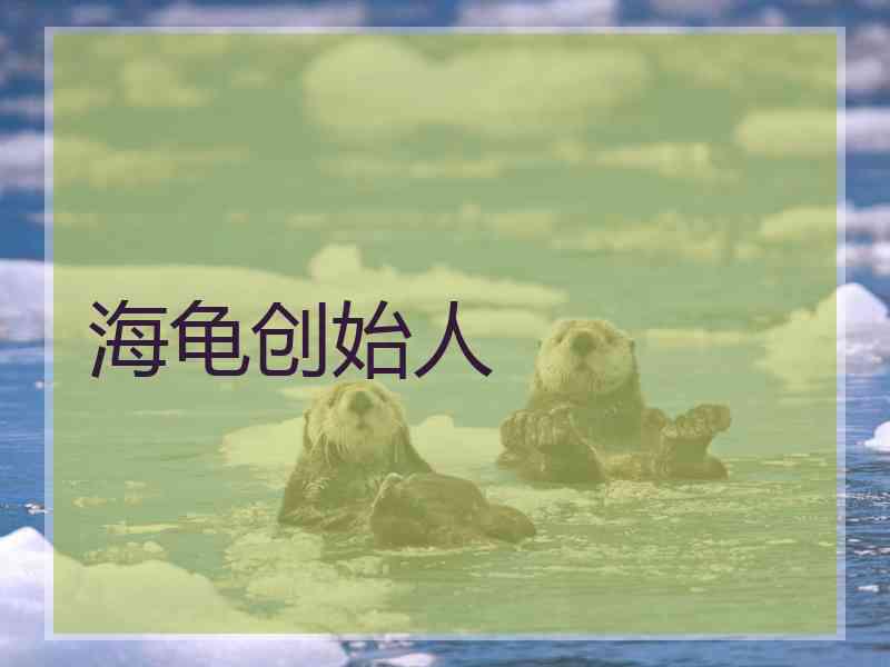 海龟创始人
