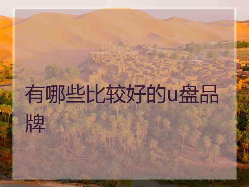 有哪些比较好的u盘品牌