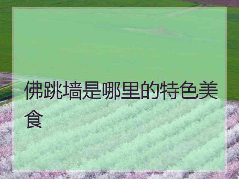 佛跳墙是哪里的特色美食