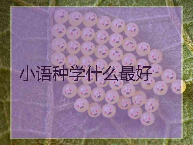 小语种学什么最好