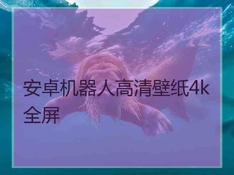 安卓机器人高清壁纸4k全屏