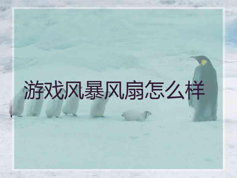 游戏风暴风扇怎么样