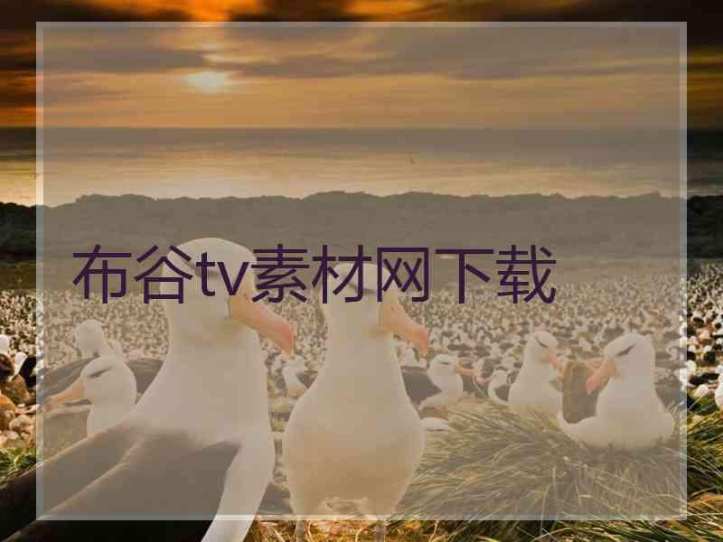 布谷tv素材网下载