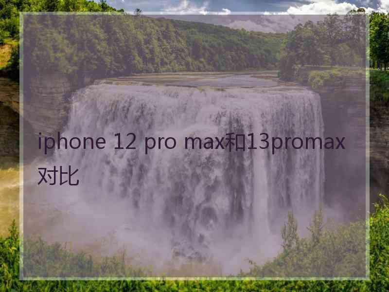 iphone 12 pro max和13promax对比
