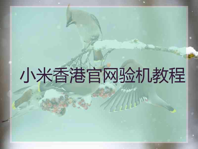 小米香港官网验机教程