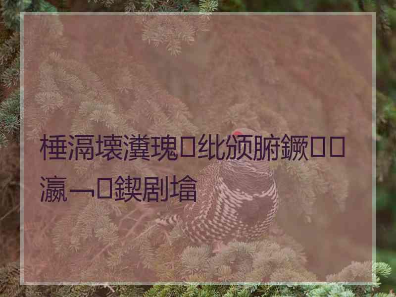 棰滆壊瀵瑰纰颁腑鐝瀛﹁鍥剧墖