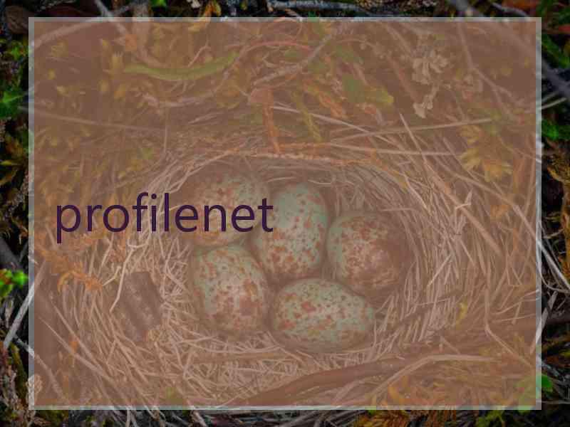profilenet